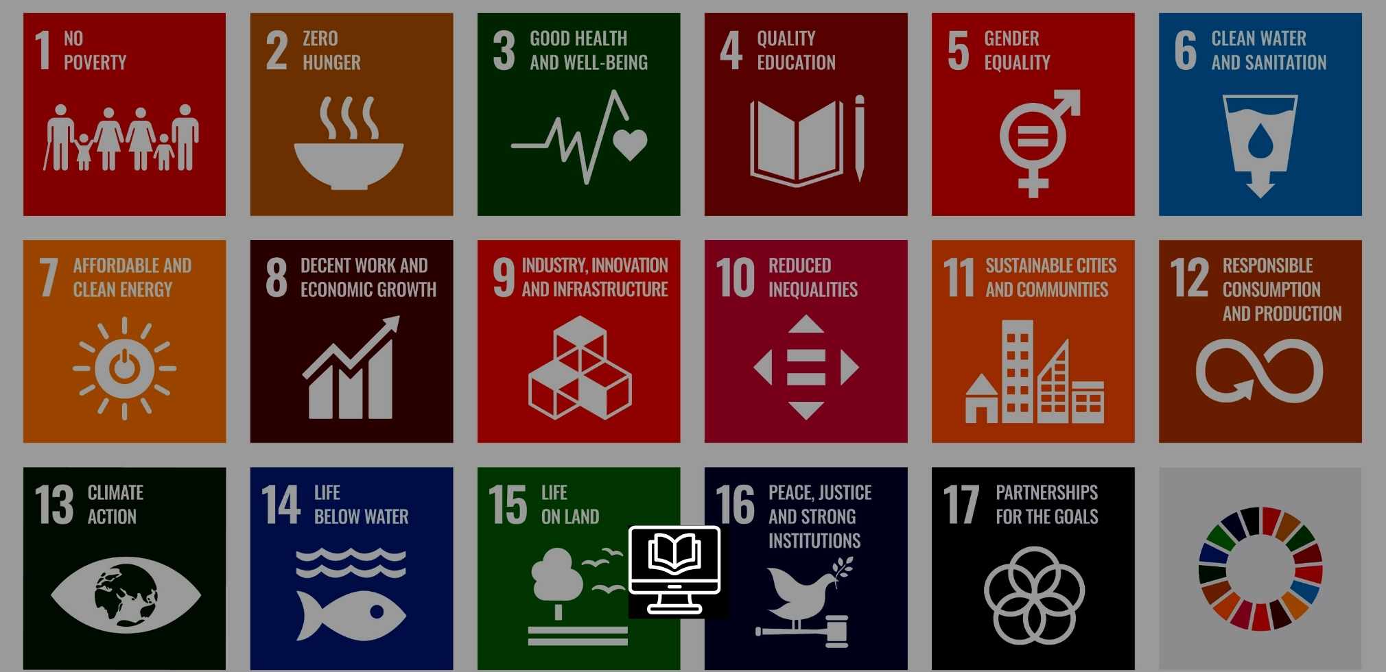 <h4>INTERACTIVE CASE STUDY<br>SOURCING SDG SOLUTIONS</h4>
