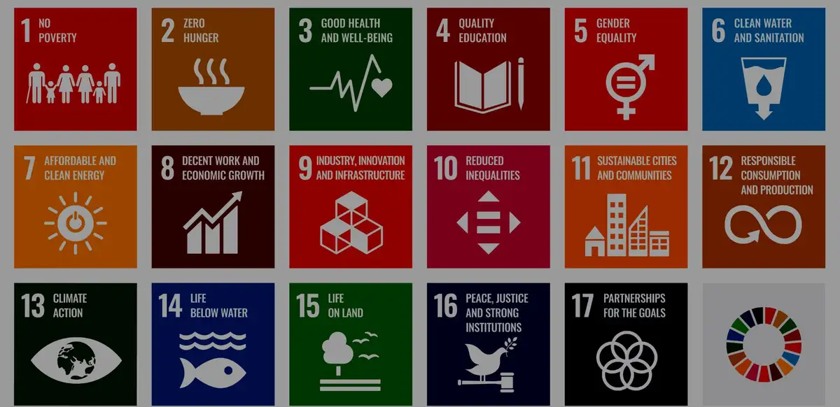 <h4>An Interactive Case Study <br>for Sourcing SDG Solutions</h4>